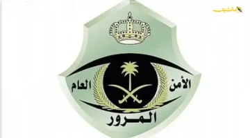 بشرى لعشاق التميز.. تفاصيل مزاد اللوحات المميزة إلكترونيًا عبر أبشر (الفرصة حتى الخميس) 1